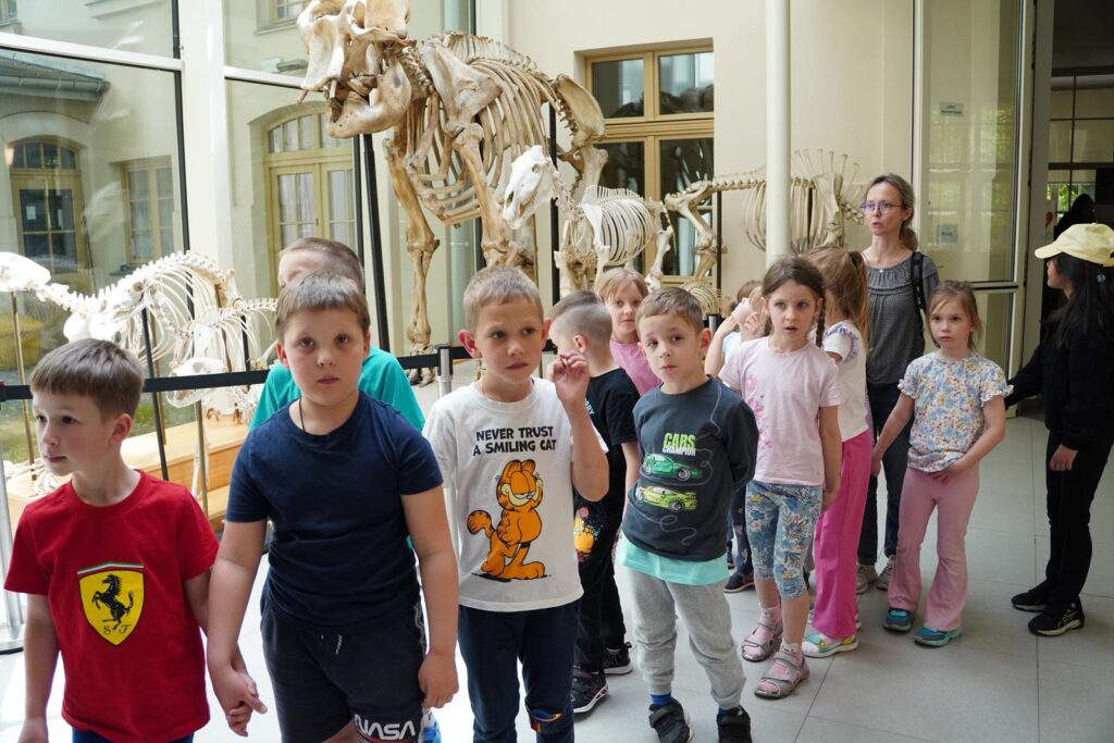 zielone przedszkole